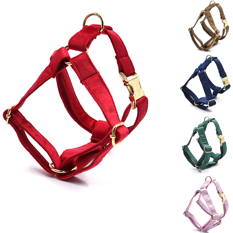 Personalized Dog Harness NO PU - đánh giá và giá No Pull Dog Harness