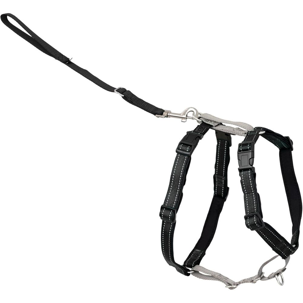3 in 1 No-Pull Dog Harness - W - đánh giá và giá No Pull Dog Harness