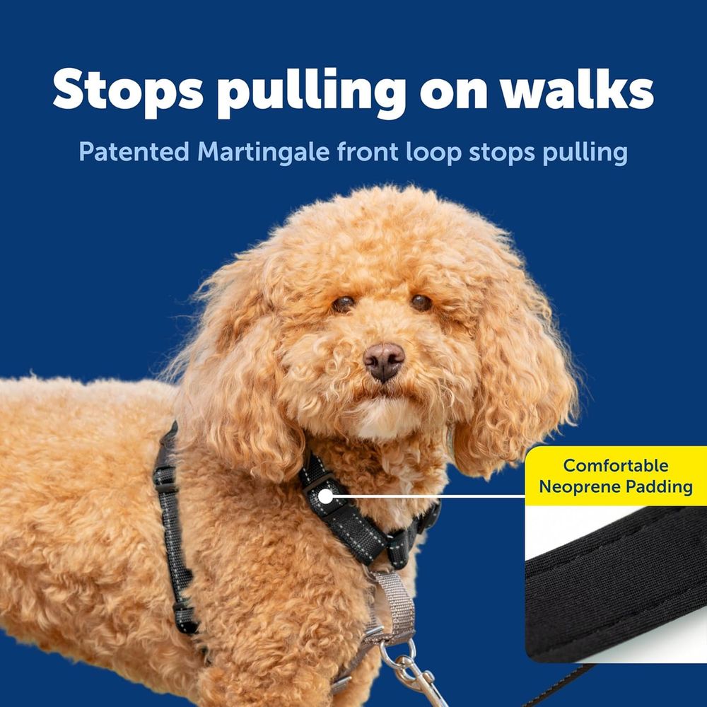3 in 1 No-Pull Dog Harness - W - đánh giá và giá No Pull Dog Harness