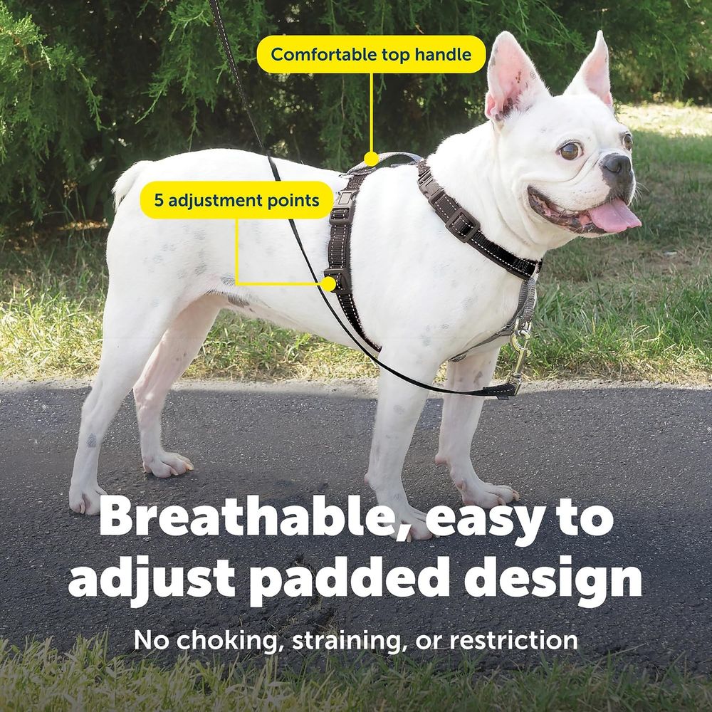3 in 1 No-Pull Dog Harness - W - đánh giá và giá No Pull Dog Harness