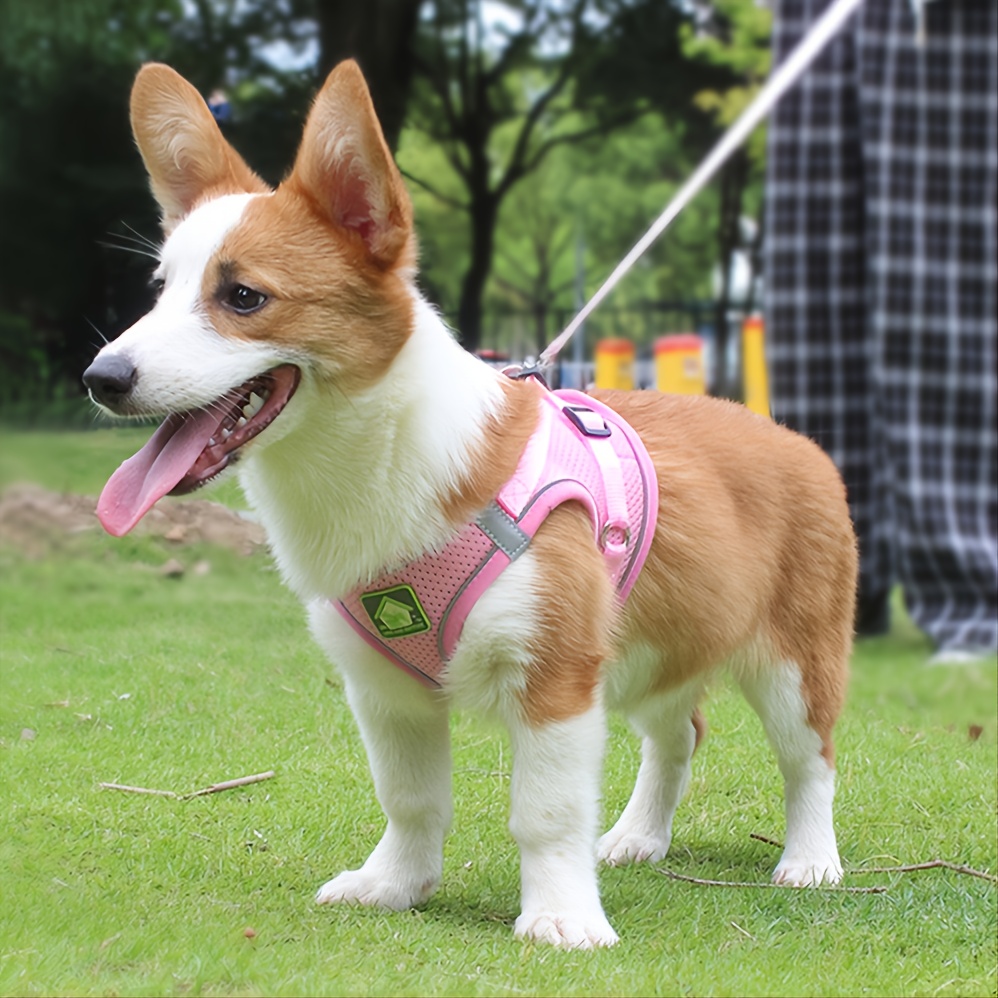 Reflective Pet Harness And Lea - đánh giá và giá No Pull Dog Harness