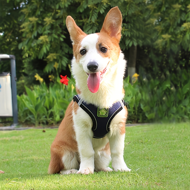 Reflective Pet Harness And Lea - đánh giá và giá No Pull Dog Harness