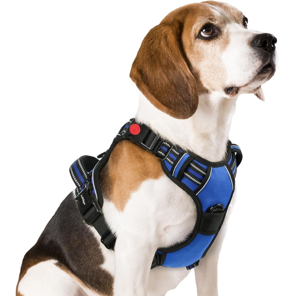 Medium Sized Dog Harness, Easy - đánh giá và giá No Pull Dog Harness