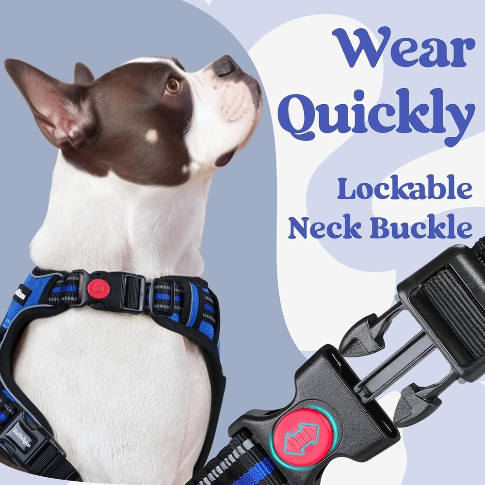 Medium Sized Dog Harness, Easy - đánh giá và giá No Pull Dog Harness