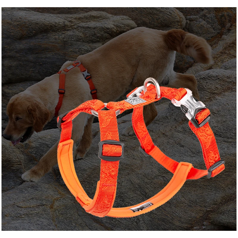 TRUELOVE Pet Hairy Usag Premiu - đánh giá và giá No Pull Dog Harness