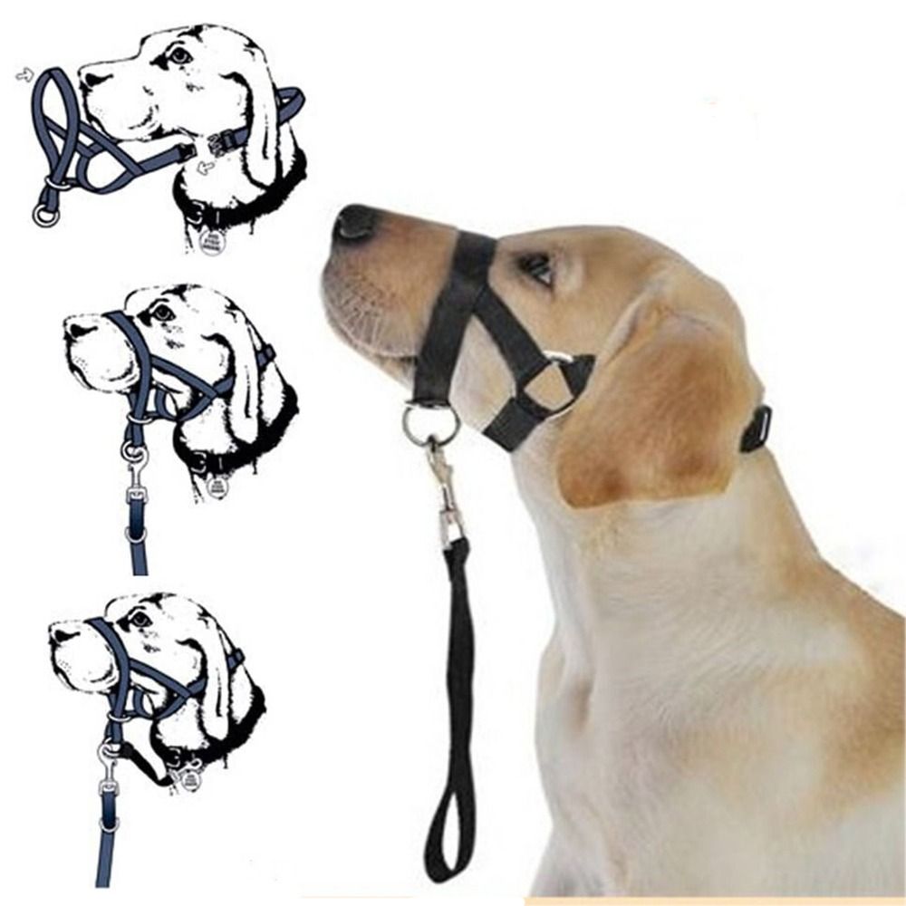 Nylon Training Leash Non Pull  - đánh giá và giá No Pull Dog Harness