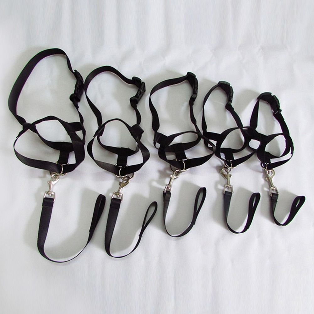 Nylon Training Leash Non Pull  - đánh giá và giá No Pull Dog Harness