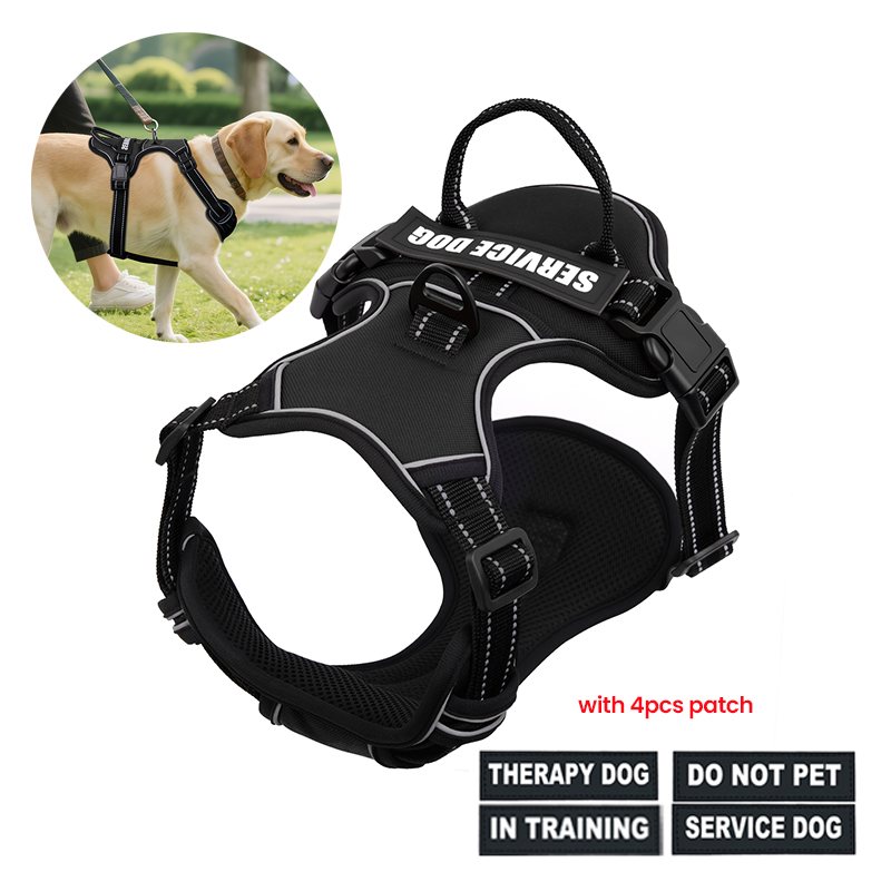 Nylon Adjustable Dog Harness N - đánh giá và giá No Pull Dog Harness