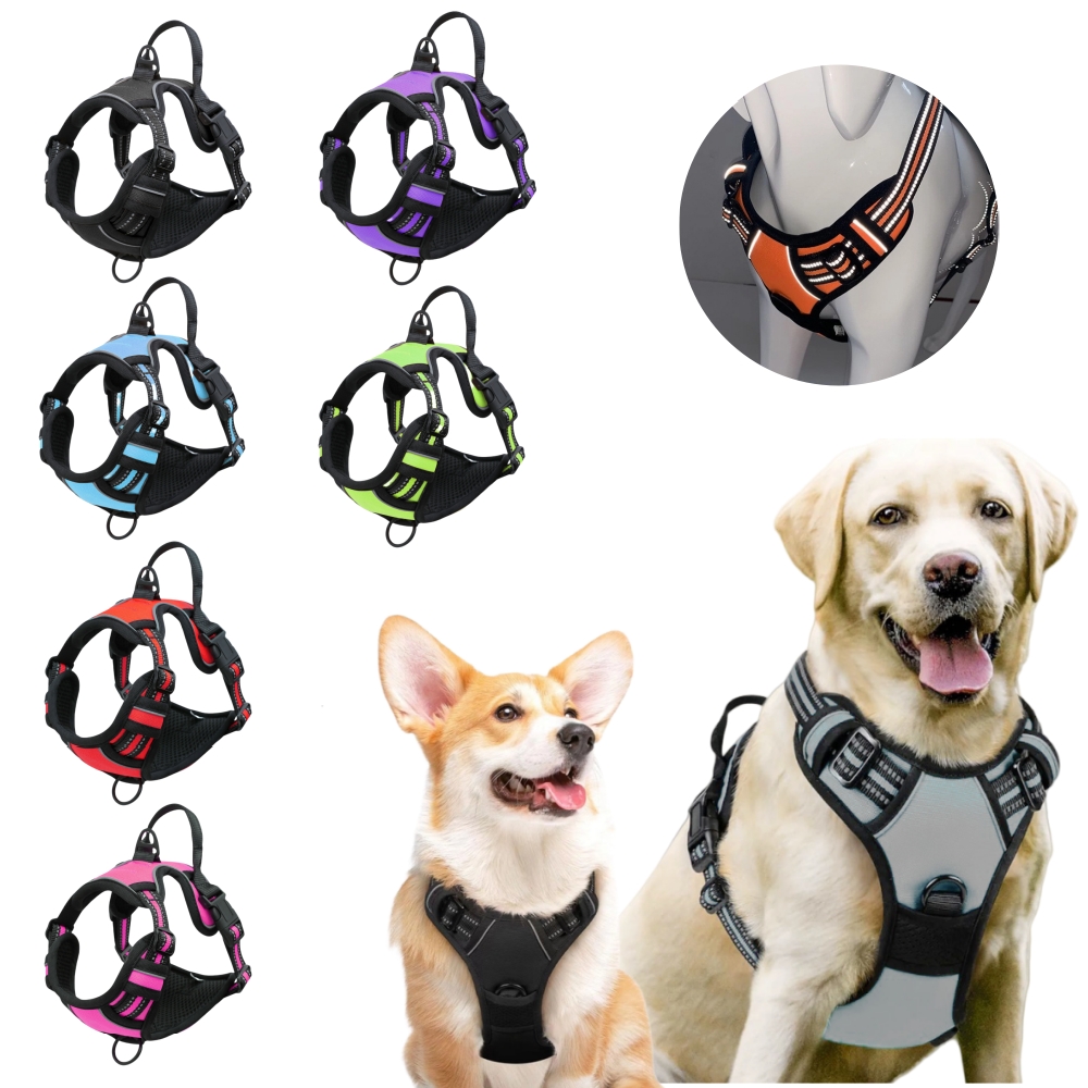 No Pull Dog Harness Large Dog  - đánh giá và giá No Pull Dog Harness