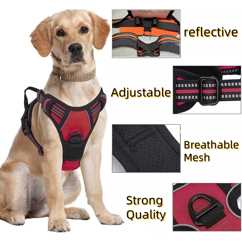 No Pull Dog Harness Large Dog  - đánh giá và giá No Pull Dog Harness