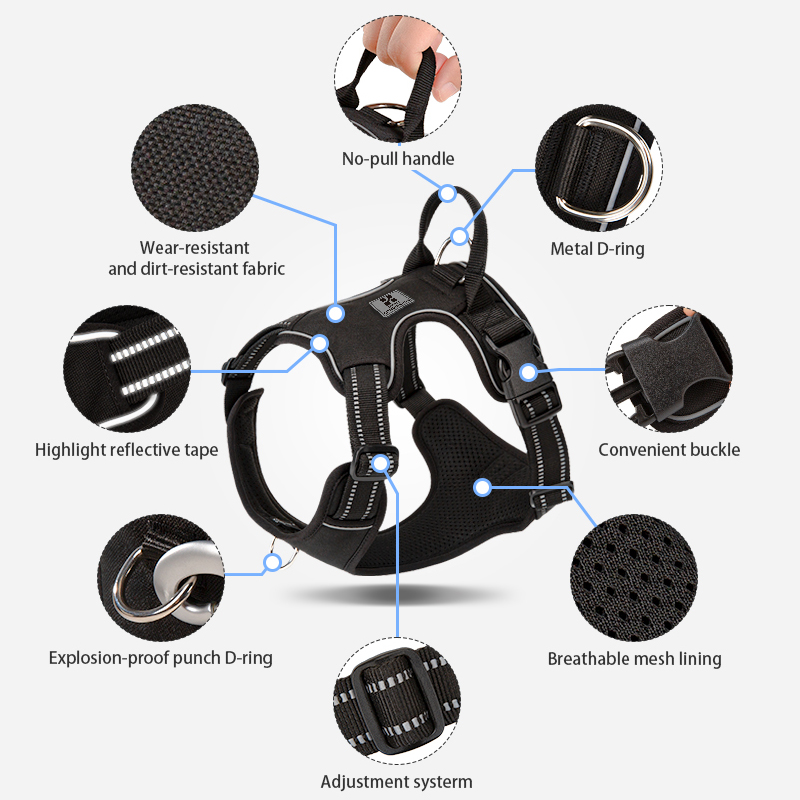 SMALL COMBINATION Dog Harness  - đánh giá và giá No Pull Dog Harness