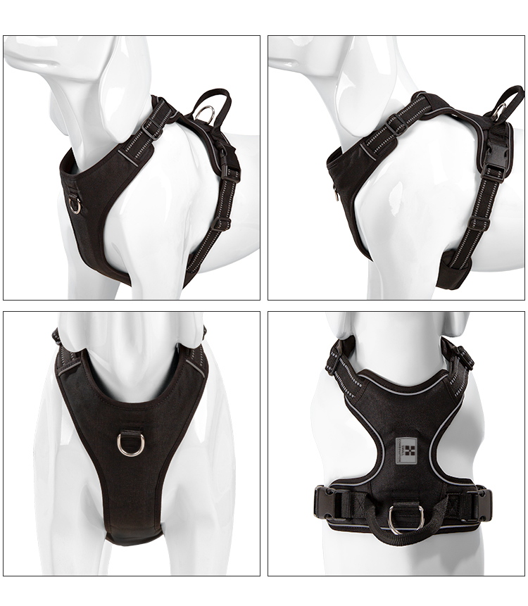 SMALL COMBINATION Dog Harness  - đánh giá và giá No Pull Dog Harness