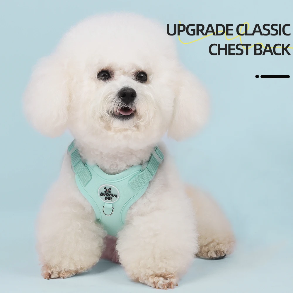 Colorful Lightweight Dog Harne - đánh giá và giá No Pull Dog Harness