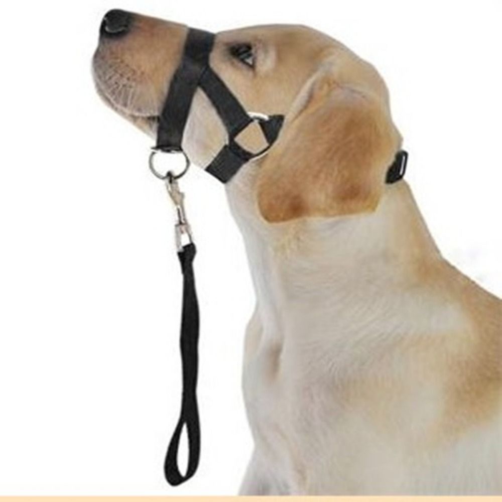 Adjustable Anti barking Non Pu - đánh giá và giá No Pull Dog Harness