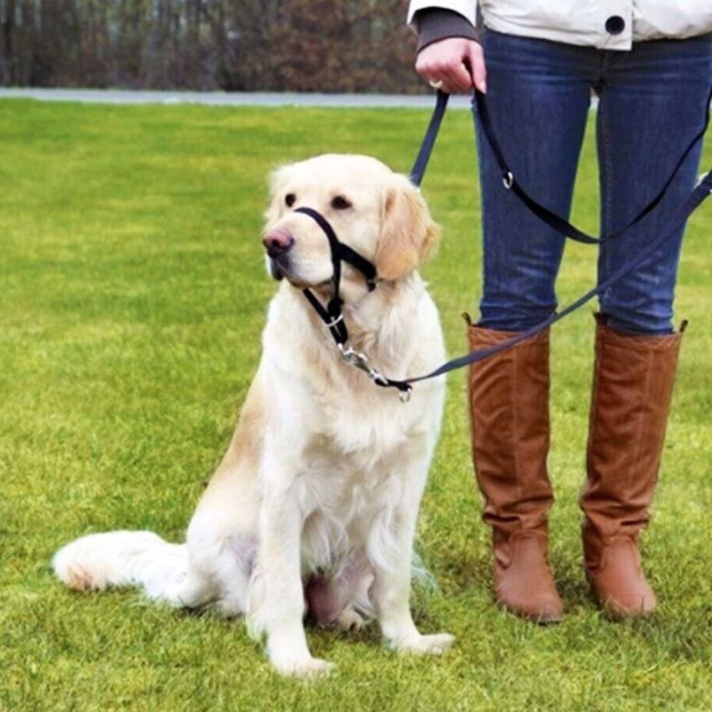 Adjustable Anti barking Non Pu - đánh giá và giá No Pull Dog Harness
